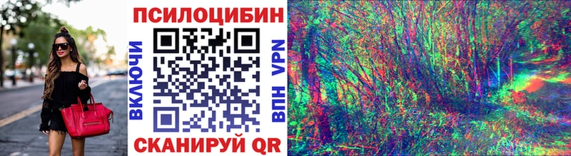 Купить где  Тотьма  Галлюциногенные грибы GOLDEN TEACHER 